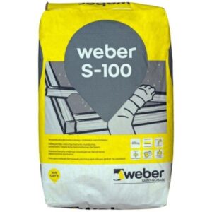 weber S-100
